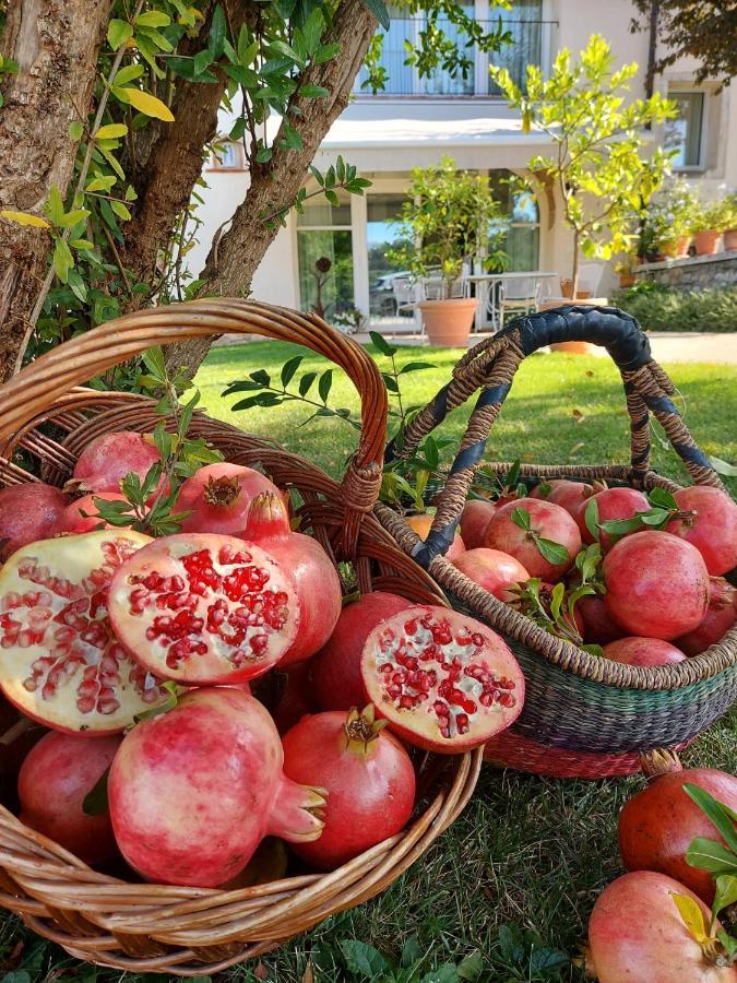 Relais Maddalene101 Farm stay Vicenza