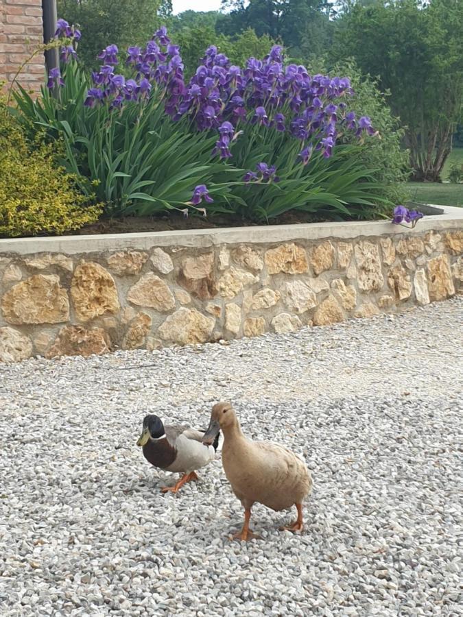Farm stay Relais Maddalene101