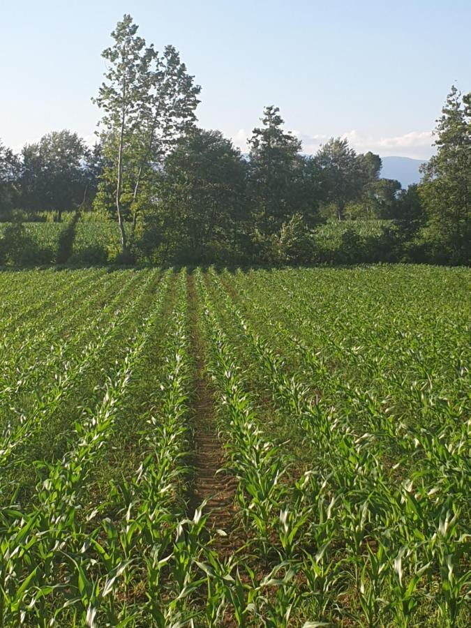 Farm stay Relais Maddalene101